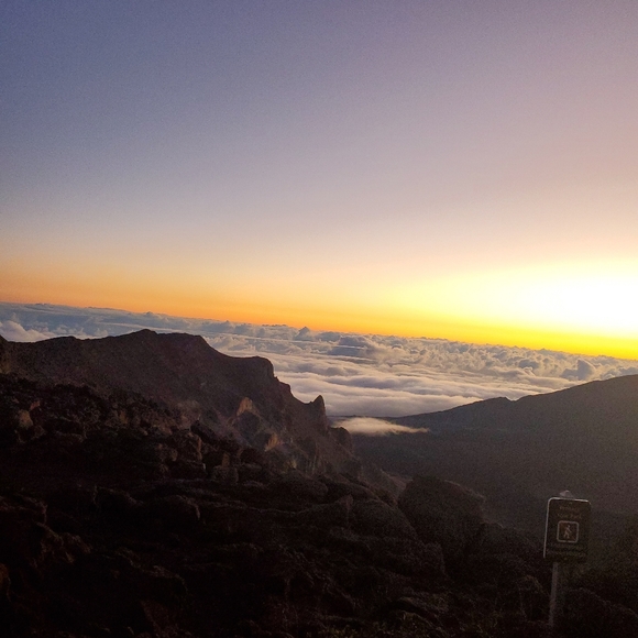 Meet your Posher, Joseph - Picture 1 of 7